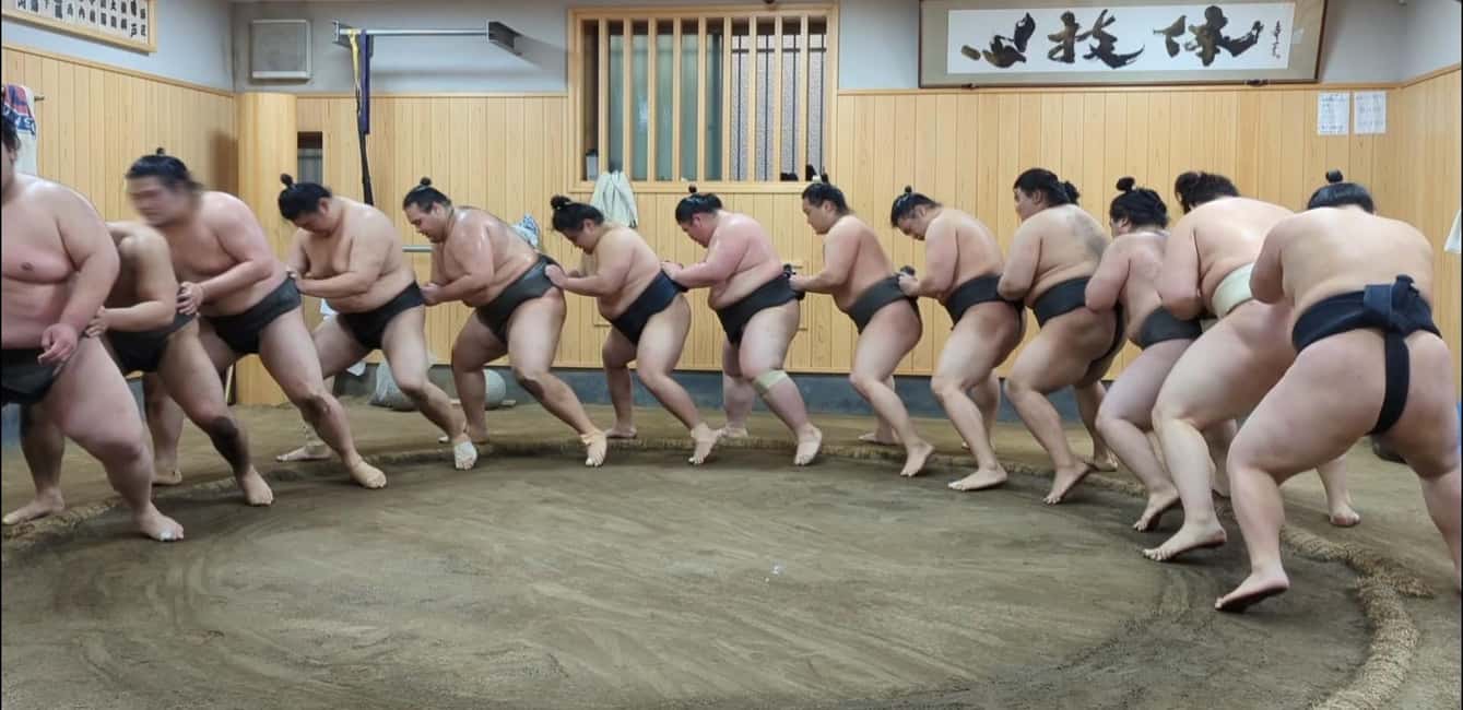 image n.7 of Tokyo: Morning Sumo Practice Viewing activity in Tokyo, uploaded by supplier