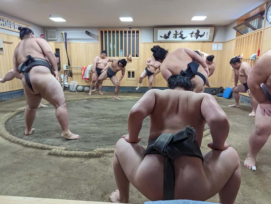 image n.1 of Tokyo: Morning Sumo Practice Viewing activity in Tokyo, uploaded by supplier