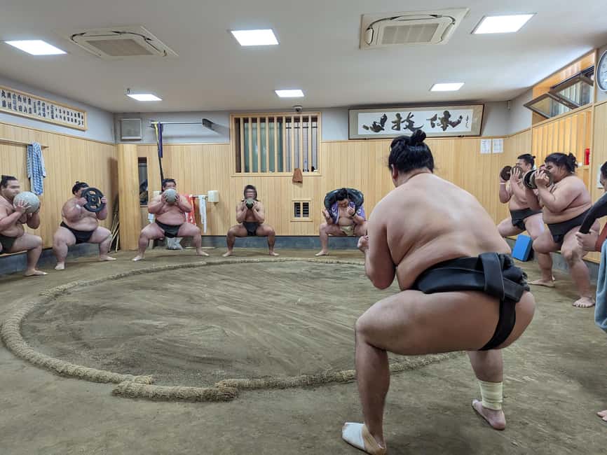 image n.8 of Tokyo: Morning Sumo Practice Viewing activity in Tokyo, uploaded by supplier