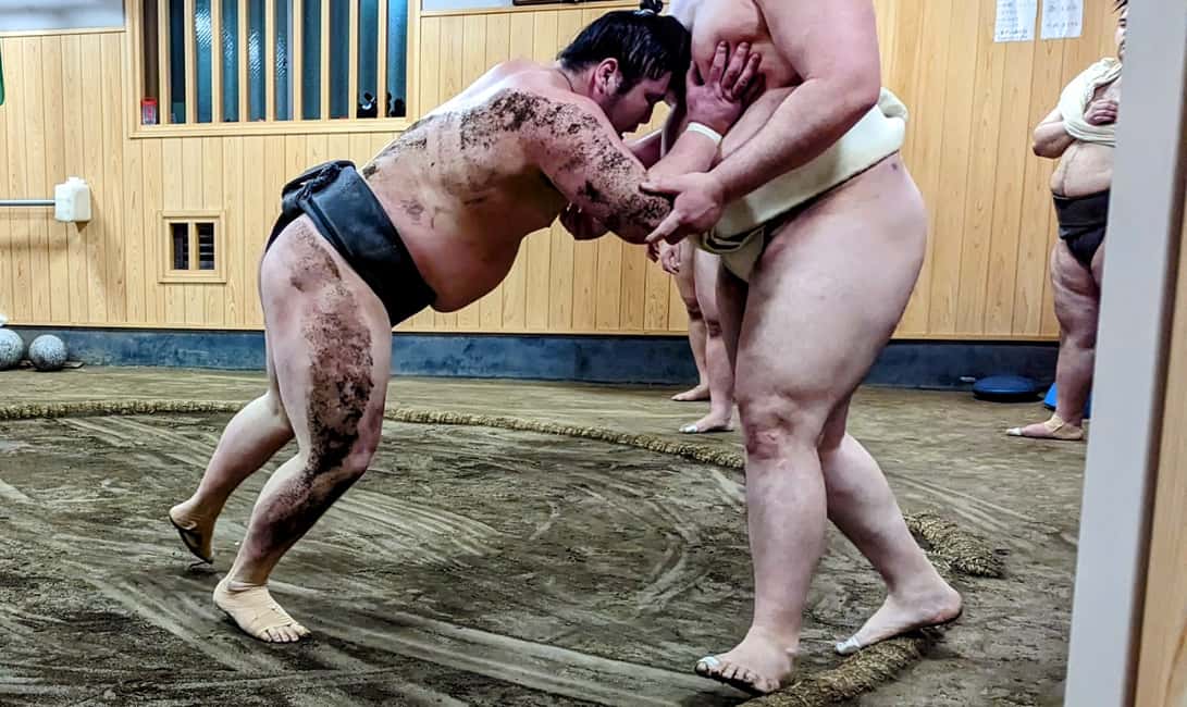 image n.6 of Tokyo: Morning Sumo Practice Viewing activity in Tokyo, uploaded by supplier