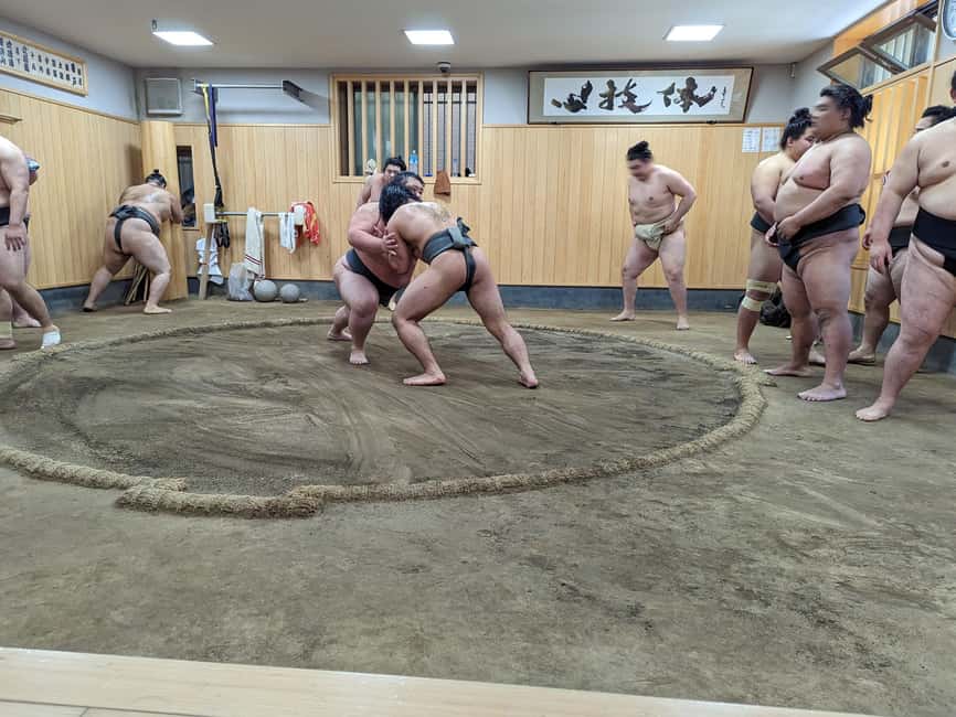 image n.3 of Tokyo: Morning Sumo Practice Viewing activity in Tokyo, uploaded by supplier