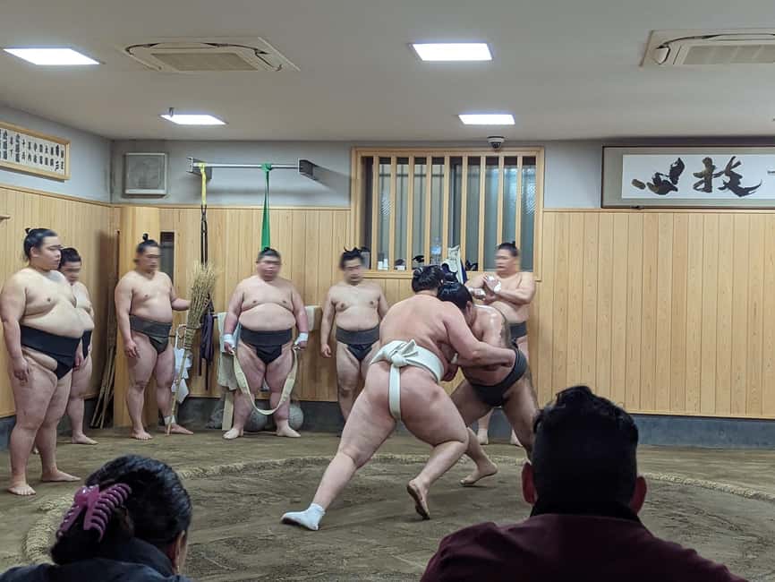 image n.4 of Tokyo: Morning Sumo Practice Viewing activity in Tokyo, uploaded by supplier