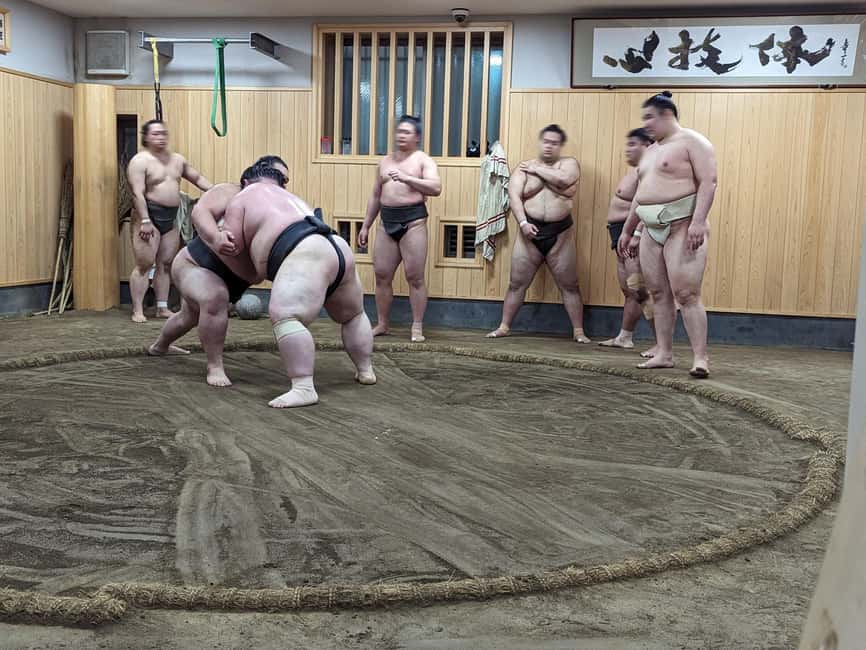 image n.5 of Tokyo: Morning Sumo Practice Viewing activity in Tokyo, uploaded by supplier