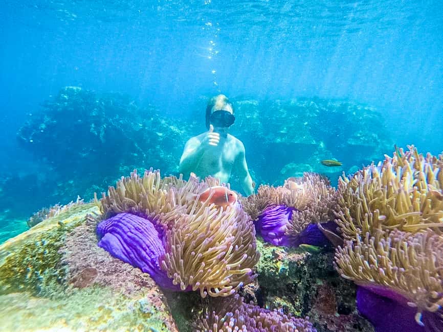 billede nr.7 af aktiviteten Koh Tao: Koh Nangyuan & Hidden Bays snorkeltur med frokost i Thailandbugten, uploadet af udbyder