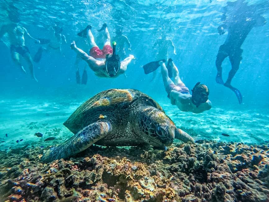 billede nr.1 af aktiviteten Koh Tao: Koh Nangyuan & Hidden Bays snorkeltur med frokost i Thailandbugten, uploadet af udbyder