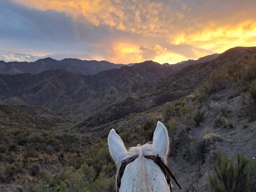 imagem n.2 de Mendoza: Passeio a cavalo ao pôr do sol nas montanhas e churrasco atividade em Mendoza, carregada pelo fornecedor