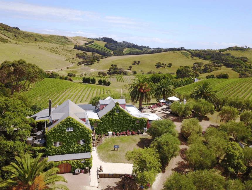 image n.5 of Waiheke Island: Wine Tour + Lunch at Award Winning Venue activity in North Island, uploaded by supplier