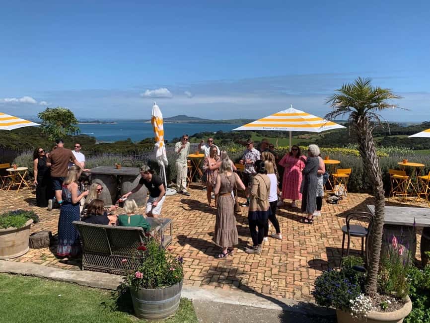 image n.2 of Waiheke Island: Wine Tour + Lunch at Award Winning Venue activity in North Island, uploaded by supplier
