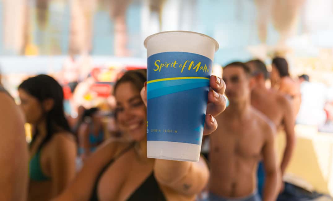 Immagine nº 3 di Comino: crociera in catamarano Blue Lagoon con pranzo e open bar attività a Malta, caricata dal fornitore