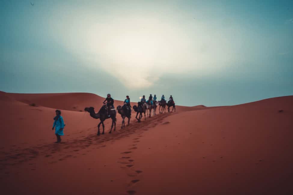 Image N°22 de Au départ de Fès : excursion de 3 jours et 2 nuits dans le désert jusqu'à Marrakech activité à Drâa-Tafilalet, publiée par le prestataire