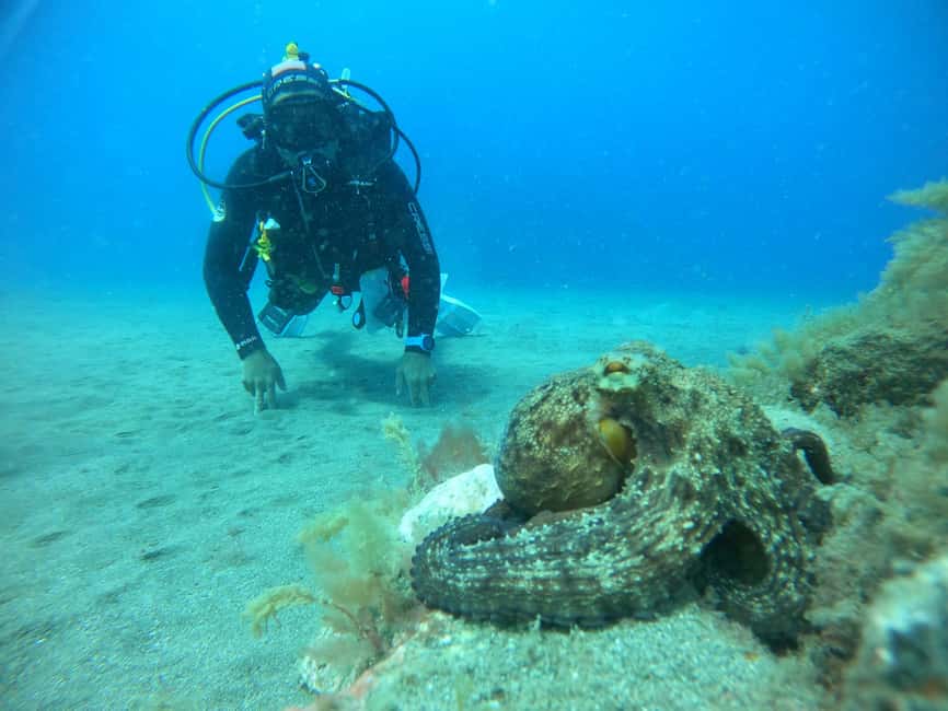 image n.9 of Playa Del Ingles: Discover Scuba Diving - Free Transfers activity in Maspalomas, uploaded by supplier