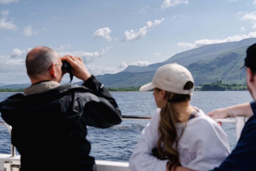 billede nr.8 af aktiviteten Fort William: Sejlads på Loch Linnhe for at se sæler i Det skotske højland, uploadet af udbyder