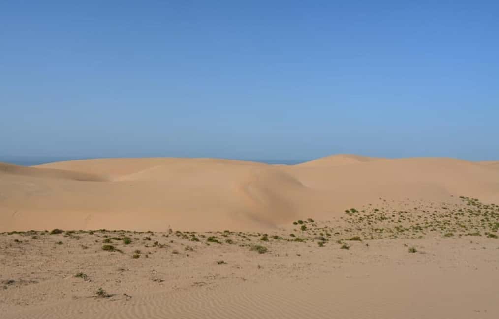 imagen n.º 7 de Agadir: Visita al Parque Nacional y al Desierto del Sáhara, con almuerzo incluido actividad en Provincia de Chtouka-Aït Baha, subida por el proveedor