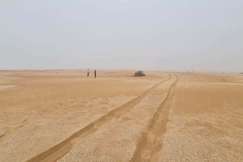 imagen n.º 11 de Agadir: Visita al Parque Nacional y al Desierto del Sáhara, con almuerzo incluido actividad en Provincia de Chtouka-Aït Baha, subida por el proveedor