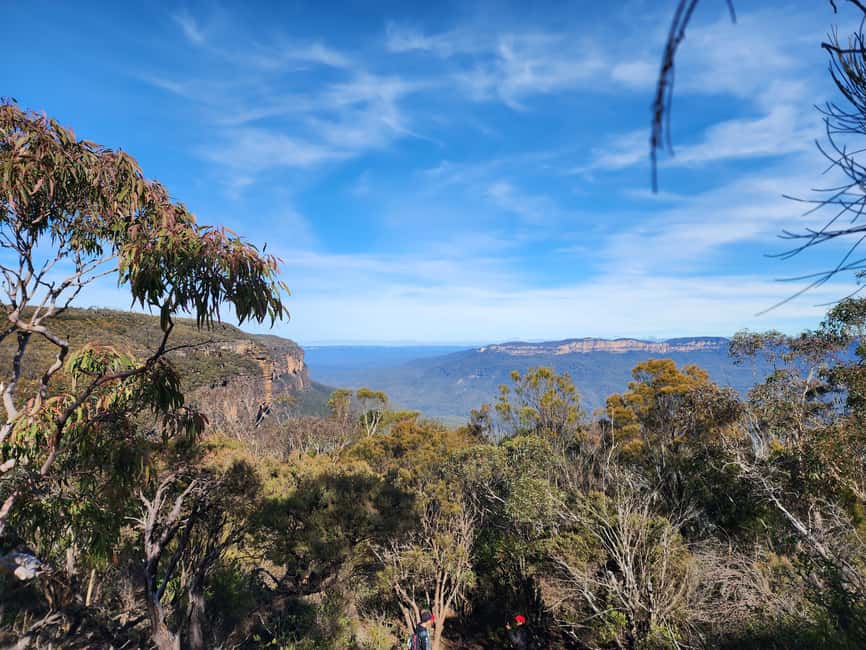 image n.4 of From Sydney: Blue Mountains Tour with Waterfall Walk & Lunch activity in Wentworth Falls, uploaded by supplier