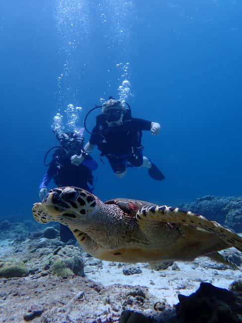 image n.4 of From Phuket: 3-Day SSI/PADI Open Water Diver Certification activity in Gulf of Thailand, uploaded by supplier
