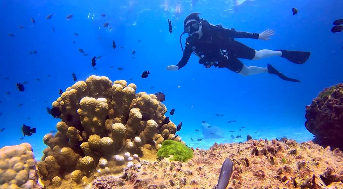 image n.2 of From Phuket: 3-Day SSI/PADI Open Water Diver Certification activity in Gulf of Thailand, uploaded by supplier