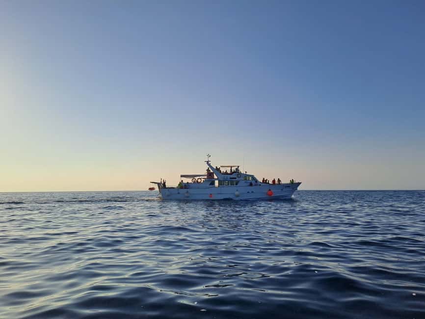 Immagine nº 2 di Umago: crociera al tramonto con avvistamento dei delfini attività a Istarska, caricata dal fornitore
