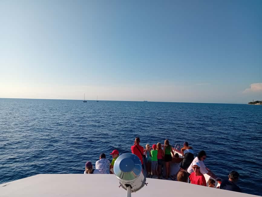 Immagine nº 3 di Umago: crociera al tramonto con avvistamento dei delfini attività a Istarska, caricata dal fornitore