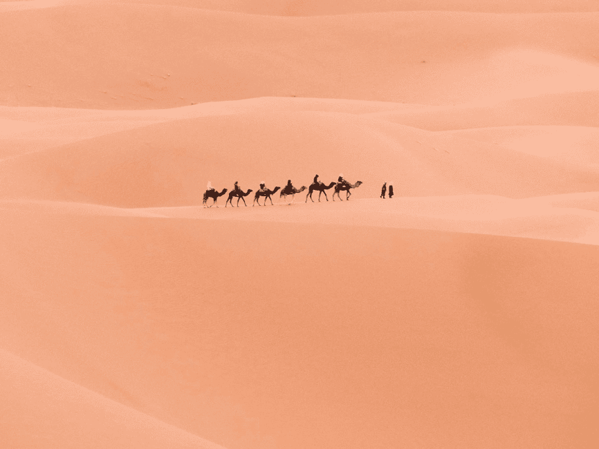 Immagine nº 20 di Da Marrakech: Tour di 3 giorni di Merzouga e del deserto del Sahara attività a Drâa-Tafilalet, caricata dal fornitore