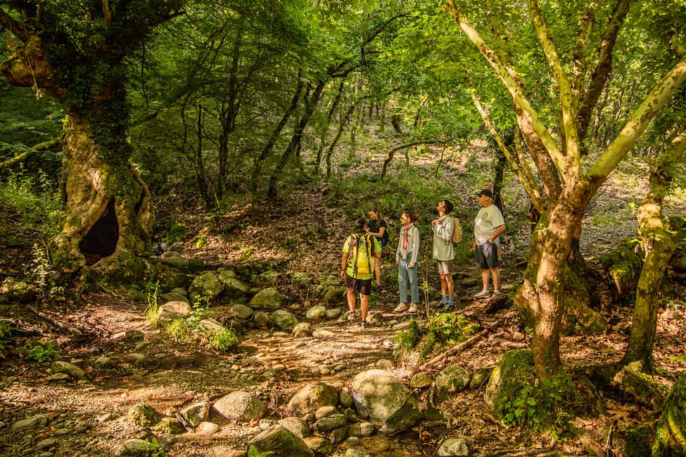 image n.22 of Kalabaka: Meteora Small-Group Hiking Tour w/ Monastery Visit activity in Thessaly, uploaded by supplier