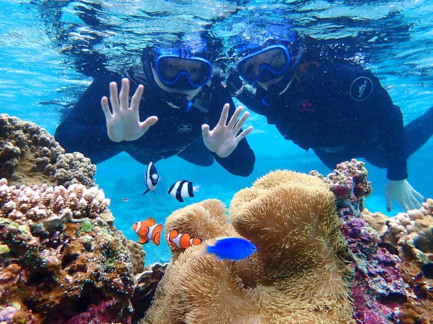 image n.9 of Miyako island: Pumpkin Limestone Caving & Snorkeling activity in Miyakojima, uploaded by supplier
