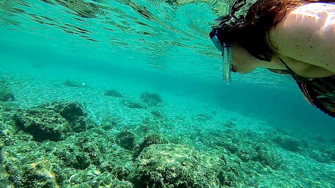 image n.5 of Palma: Private Boat Tour in Mallorca with Snorkel and Paddle activity in Calvià, uploaded by supplier