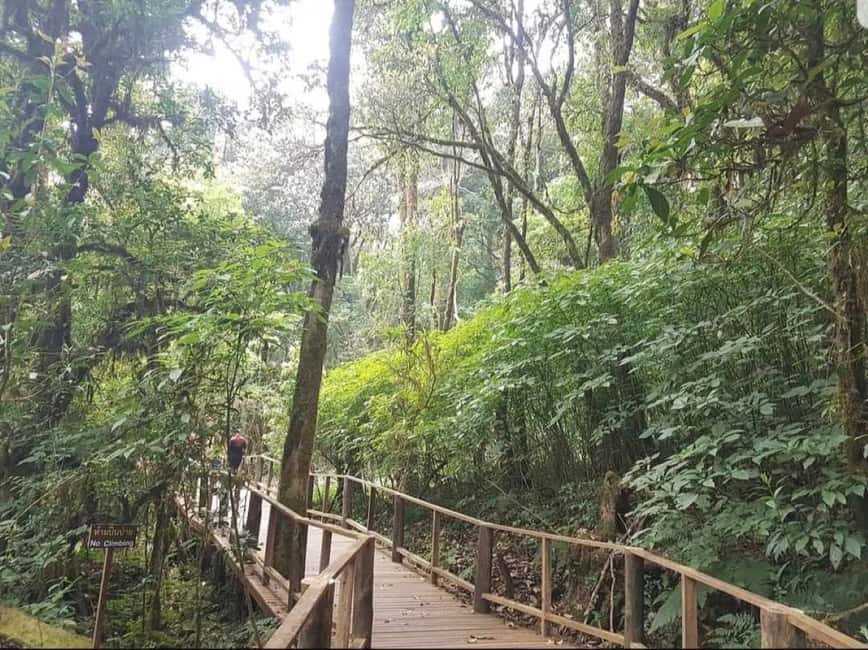 image n.38 of Chiang Mai: Doi Inthanon Park and Pha Dok Siew Trail Trek activity in Chiang Mai, uploaded by supplier