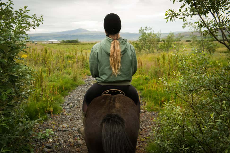 imagen n.º 4 de Hveragerdi: Excursión a Caballo por Reykjadalur (Valle de las Aguas Termales) actividad en Hveragerði, subida por el proveedor
