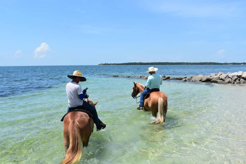 bild nr.8 av Miami: Ridning och naturstig på stranden aktivitet i Miami, uppladdad av arrangören