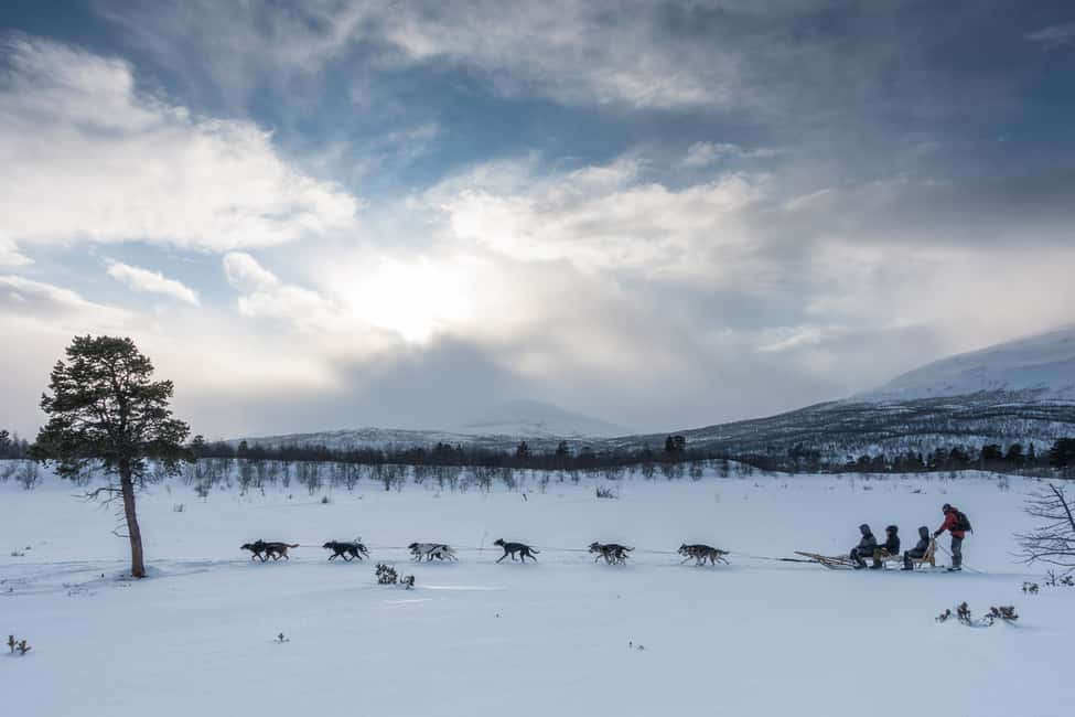 bild nr.1 av Från Abisko: Hundspannstur till Kiruna med fika aktivitet i Kiruna, uppladdad av arrangören