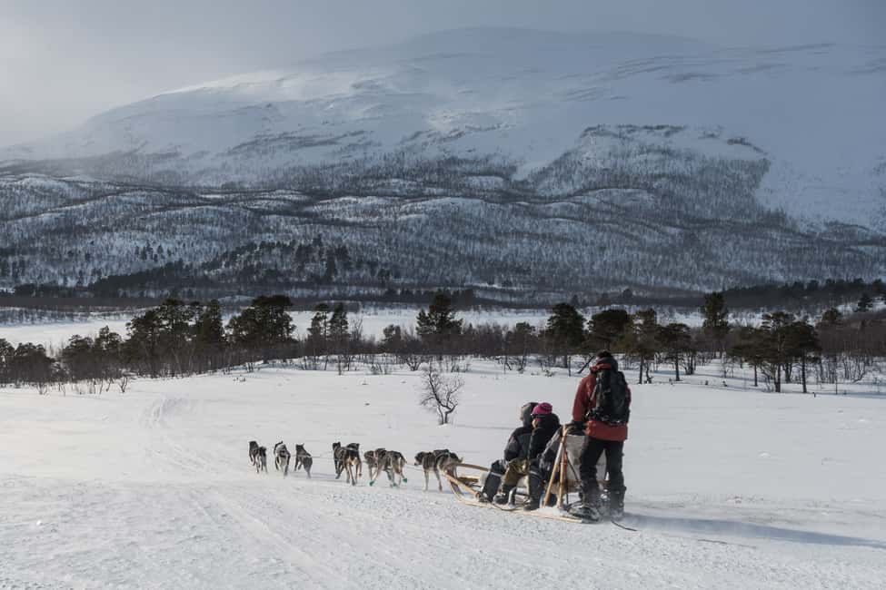 bild nr.3 av Från Abisko: Hundspannstur till Kiruna med fika aktivitet i Kiruna, uppladdad av arrangören