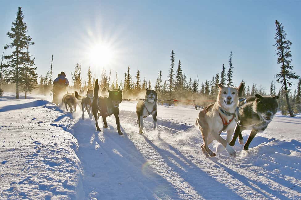 bild nr.4 av Från Abisko: Hundspannstur till Kiruna med fika aktivitet i Kiruna, uppladdad av arrangören