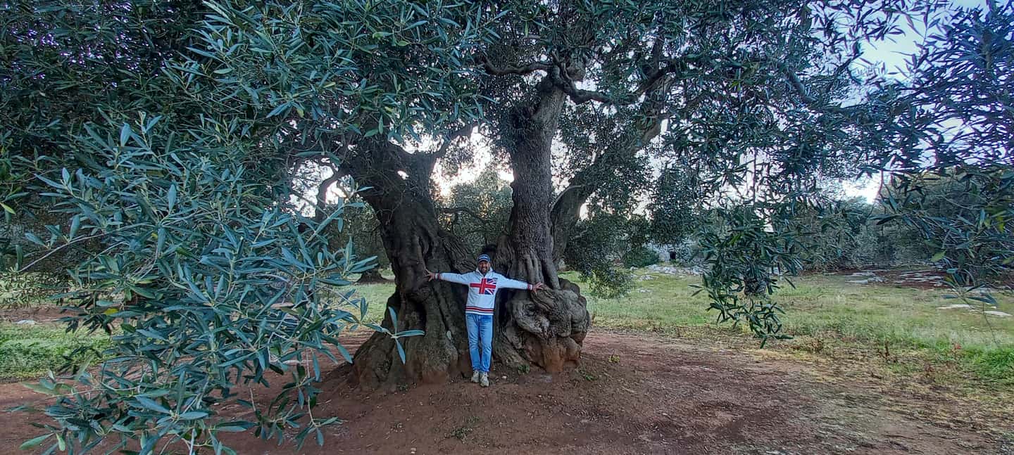 Immagine nº 6 di Ostuni: Tour in bicicletta con un bicchiere di vino e bruschetta attività a Ostuni, caricata dal fornitore