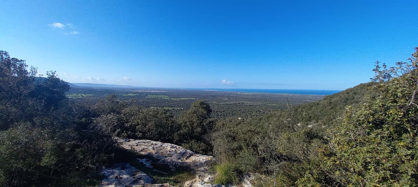 Immagine nº 4 di Ostuni: Tour in bicicletta con un bicchiere di vino e bruschetta attività a Ostuni, caricata dal fornitore