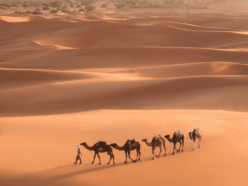 Immagine nº 1 di Da Marrakech: Tour di 3 giorni di Merzouga e del deserto del Sahara attività a Drâa-Tafilalet, caricata dal fornitore