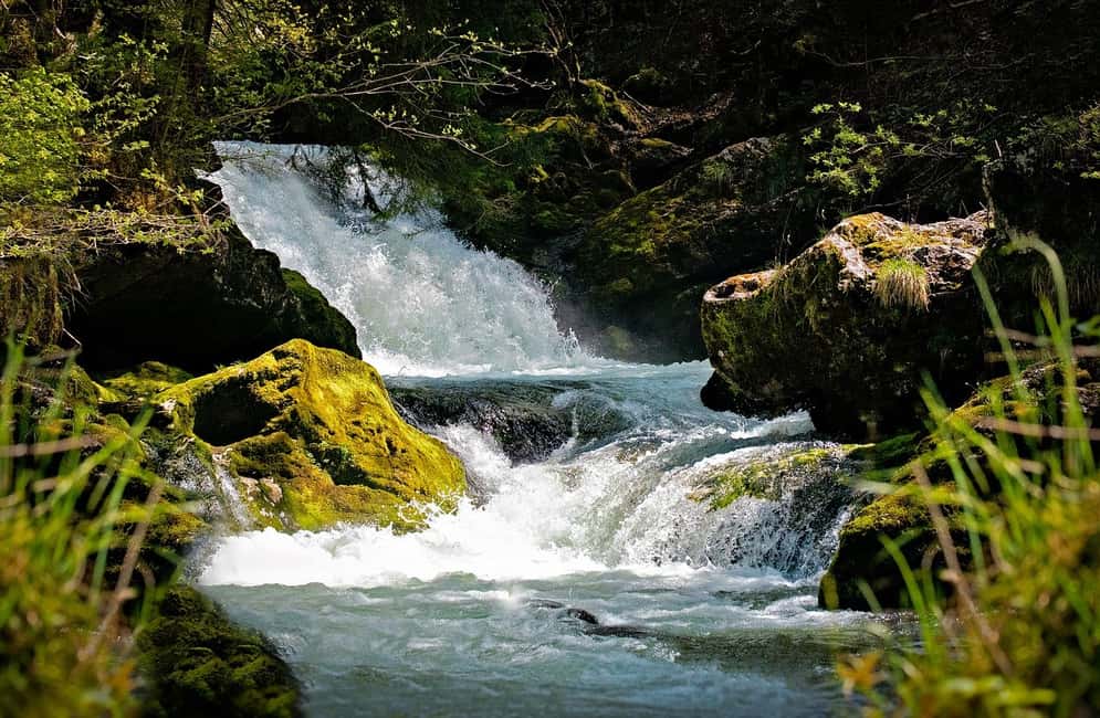 image n.3 of Visit Aburi Garden, Tetteh Quarshie Cocoa Farm & Waterfall activity in Aburi, uploaded by supplier