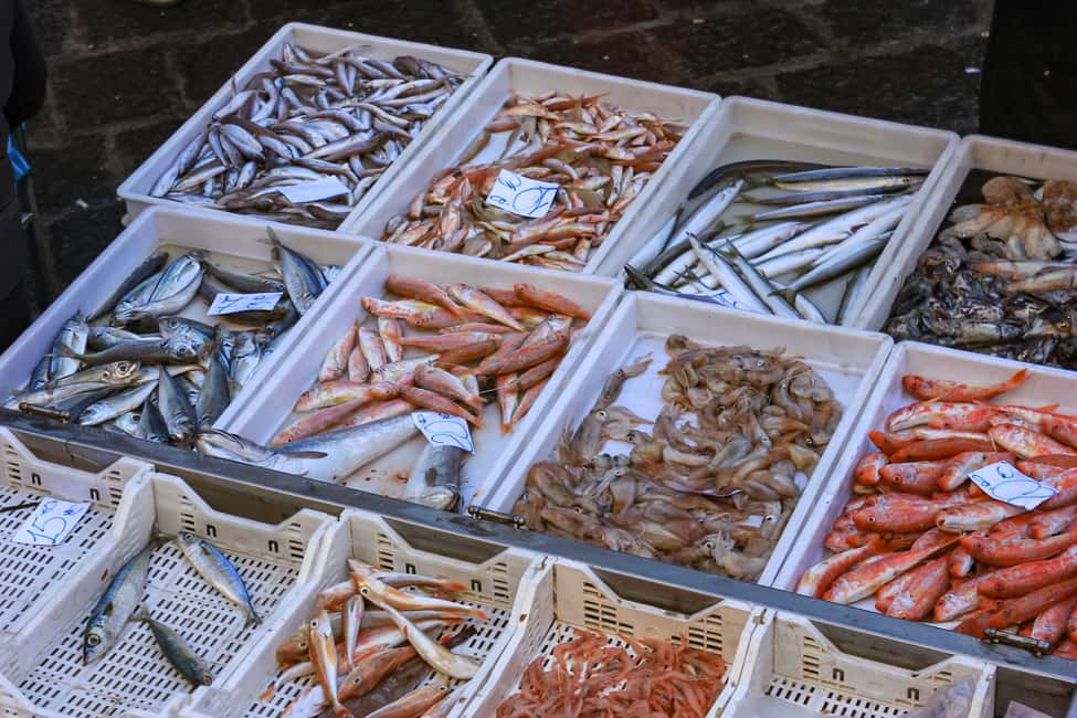 image n.2 of Catania: Street Food Guided Walking Tour activity in Catania, uploaded by supplier