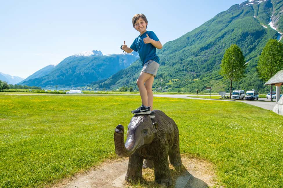 bilde nr.10 av Fra Balestrand: Guidet fjord- og bretur til Fjærland aktivitet i Hordaland, lastet opp av leverandør