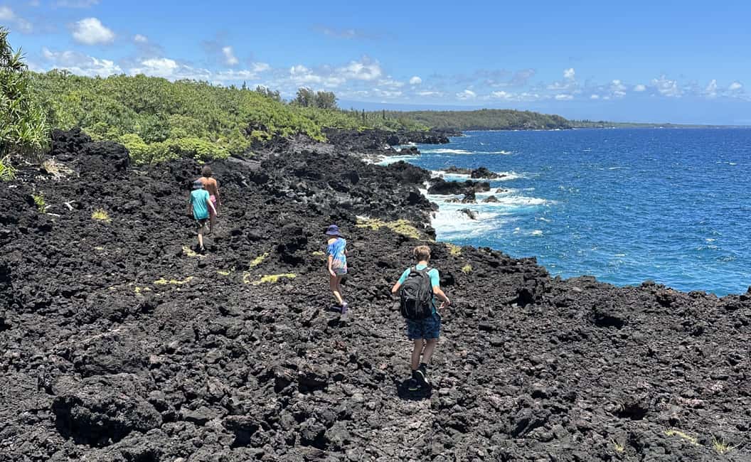 Immagine nº 12 di Escursione alle pozze di marea segrete - Giungla e costa - Privato attività a Pahoa, caricata dal fornitore