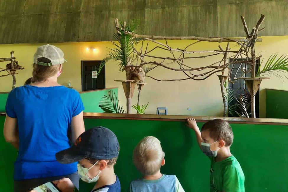 image n.10 of Panama: Monkey Island, Sloth Sanctuary and Panama Canal Tour activity in Colón Province, uploaded by supplier
