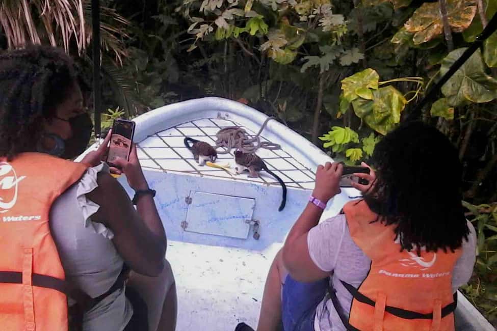 image n.12 of Panama: Monkey Island, Sloth Sanctuary and Panama Canal Tour activity in Colón Province, uploaded by supplier