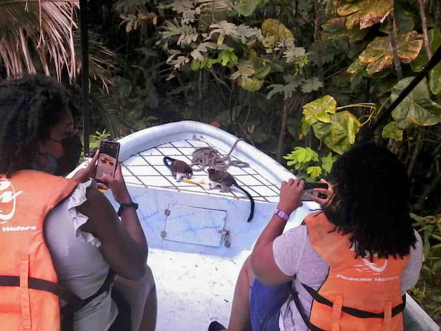 image n.18 of Panama: Monkey Island, Sloth Sanctuary and Panama Canal Tour activity in Colón Province, uploaded by supplier