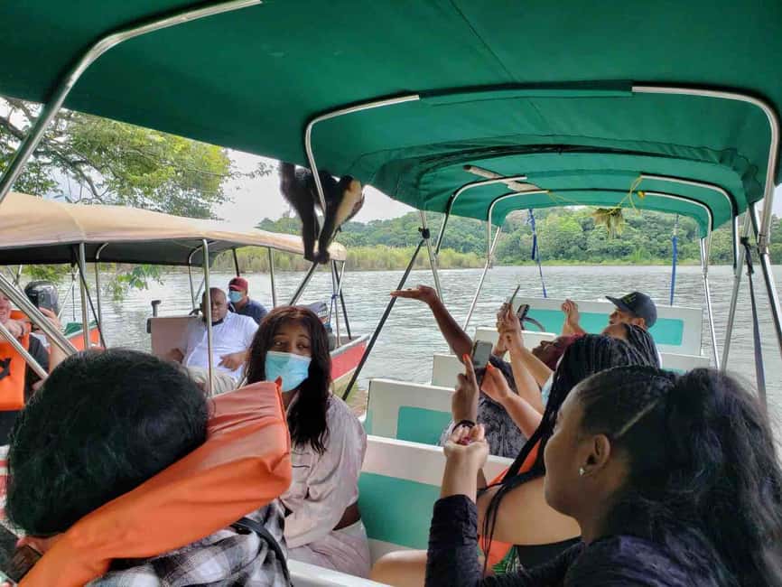 image n.8 of Panama: Monkey Island, Sloth Sanctuary and Panama Canal Tour activity in Colón Province, uploaded by supplier