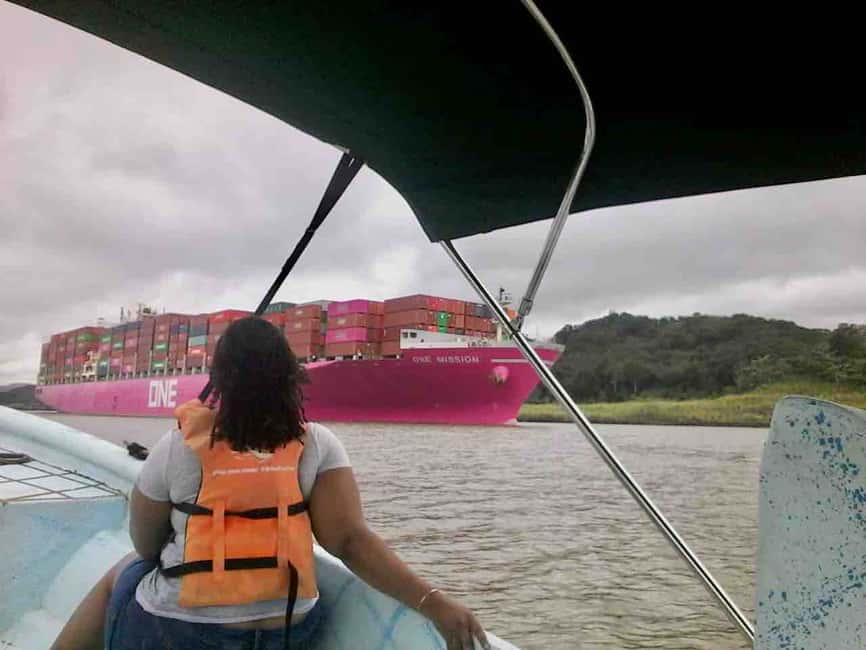image n.20 of Panama: Monkey Island, Sloth Sanctuary and Panama Canal Tour activity in Colón Province, uploaded by supplier
