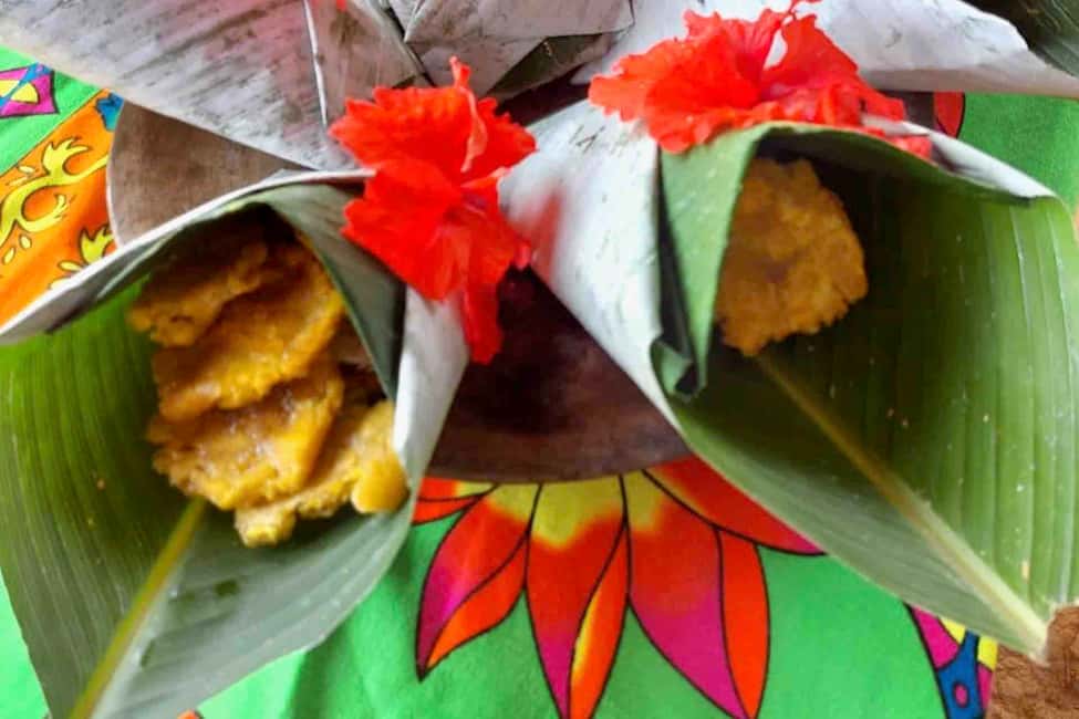 image n.7 of Panama City: Embera Village & Mono Falls Day Trip with Lunch activity in Colón Province, uploaded by supplier