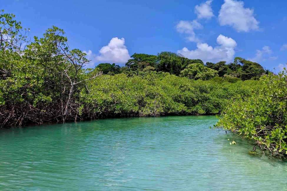 billede nr.10 af aktiviteten Fra Panama City: Caribisk øhop og Portobelo Fort i Portobelo, uploadet af udbyder