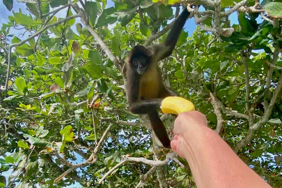 billede nr.3 af aktiviteten Fra Panama City: Caribisk øhop og Portobelo Fort i Portobelo, uploadet af udbyder