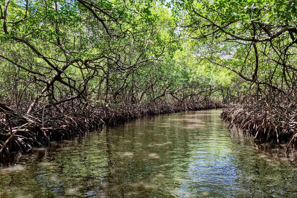billede nr.4 af aktiviteten Fra Panama City: Caribisk øhop og Portobelo Fort i Portobelo, uploadet af udbyder