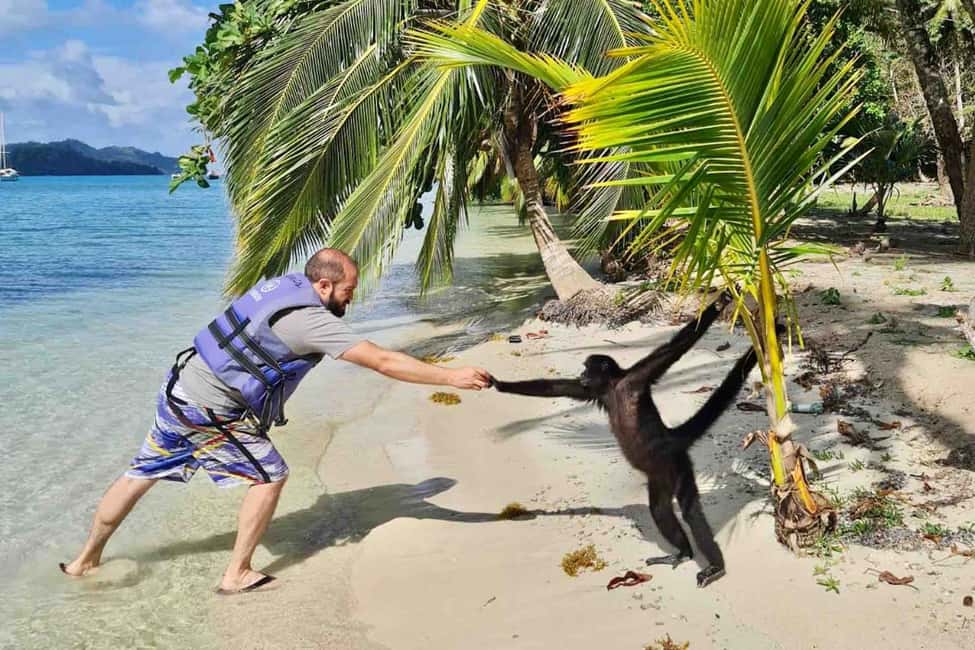 billede nr.6 af aktiviteten Fra Panama City: Caribisk øhop og Portobelo Fort i Portobelo, uploadet af udbyder